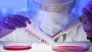 Son muy pocas las compañías