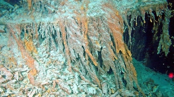 Un equipo internacional de científicos