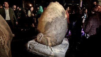 El monumental hallazgo fue hecho