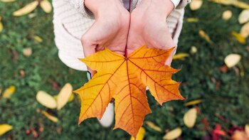 Con el inicio del otoño,