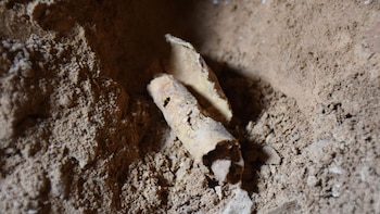 Los rollos encontrados en las