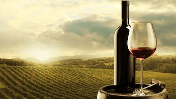 El Malbec argentino logra excelentes