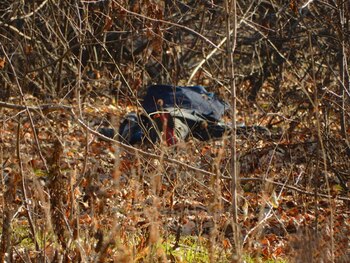 El cuerpo de la víctima