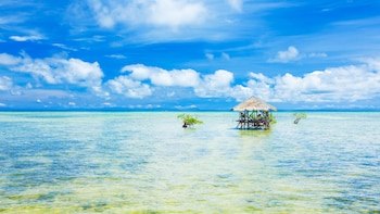 Bohol, un hermoso destino dentro