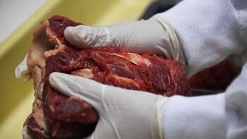 La crisis de la carne