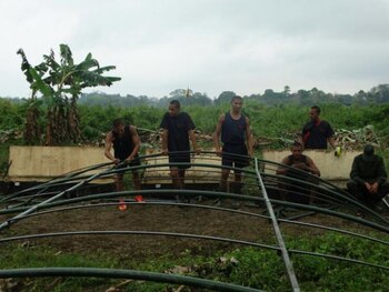 La invasión por parte de