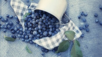 Los arándanos aportan al desarrollo