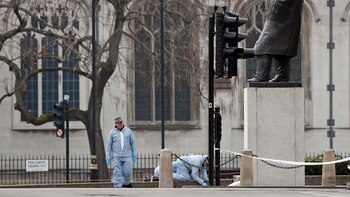 Los peritos forenses trabajan en