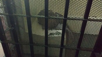 Tras las rejas: Mercurio es