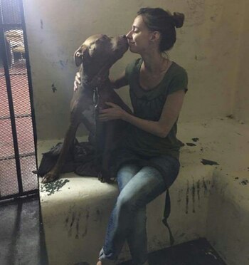 Mercurio junto a Almendra, la