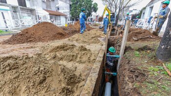 El 40% de la población