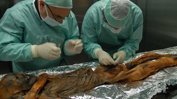 Científicos investigan la momia Ötzi