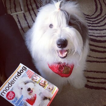 Rocco llegó a la fama