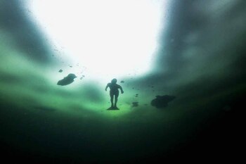 Fotografía de Johanna Nordbland bajo