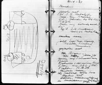 El boceto del talentoso importador