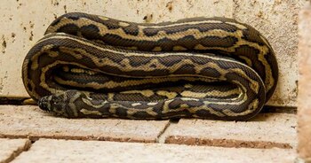 En algún momento Jennifer D.