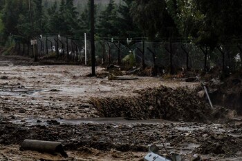 Fotos: Télam – DyN –