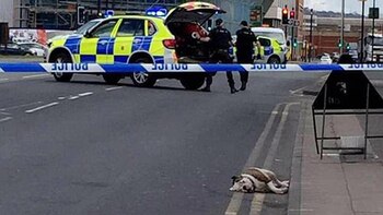 El tiroteo dejó dos perros