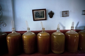 Al final del proceso no hay más gases que hinchen el preservativo. “Entonces es que terminó el proceso de fermentación”, explicó Estevez. (AP)