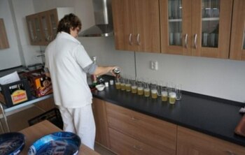 Los investigadores degustaron las cervezas