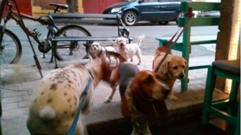 Imagen 6PGAKDFLCFA6DJGII4KORX7WOE