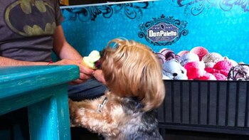 Imagen 3GFRJAU7R5CQ3AKPWUL4JFAVS4