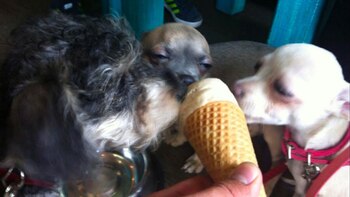 Imagen 3NV3465FW5GLFL6GKZEKIEYTAY