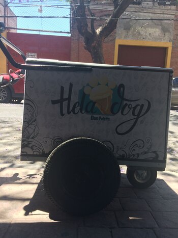 Marca mexicana de helados para perros