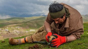 Hoshyar Ali Abdul perdió ambas