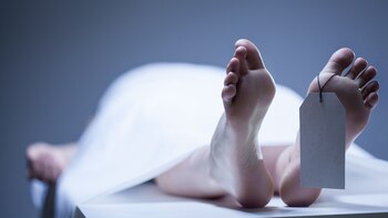 Cómo resolver crímenes estudiando hongos