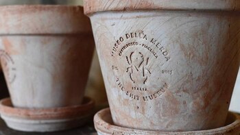 Su colección Merdaccota fue la