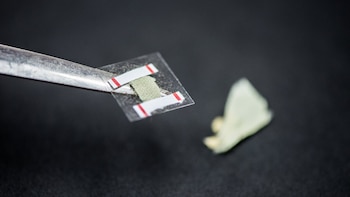 Pruebas químicas realizadas sobre el