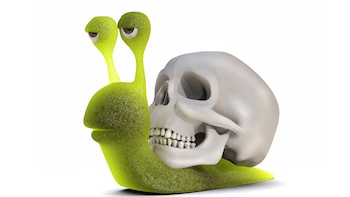 El virus es generado por