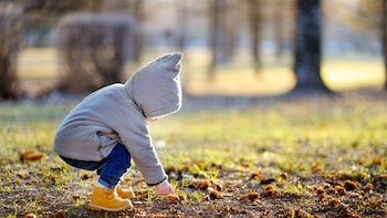 En los casos de primera