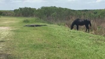 Un grupo de enfermeros recién