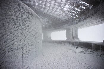 Pasillo circulatorio externo