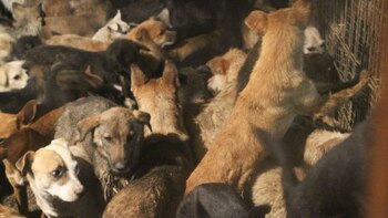 Conductores y motociclistas que paseen