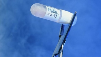 Los estudios que originaron las