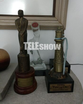 Los premios que Brian ganó