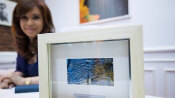 “Me trajeron un cuadro de