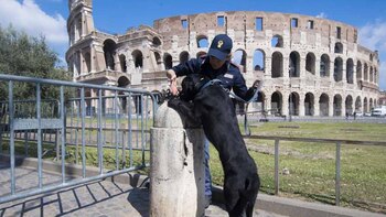 (Gentileza Associated Press )