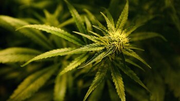 Imagen 6CB3T443WND25F5ZEONBRHKG4I