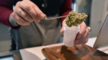 Imagen X7DAI2C7ZNFC7AZXA6VQGWCSGY