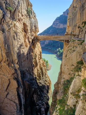 Se podría decir que es