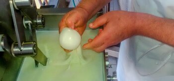 Para elaborar el queso, una