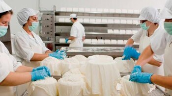 Científicos argentinos desarrollan un queso