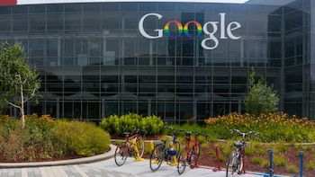 Los detalles del proyecto solidario