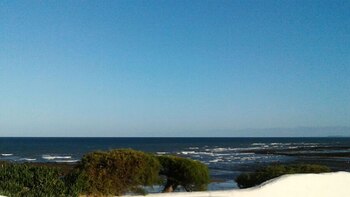 El paisaje les fue muy