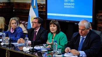 Bullrich en el Senado (Télam)