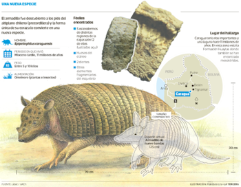 Según paleontólogos, lo más probable